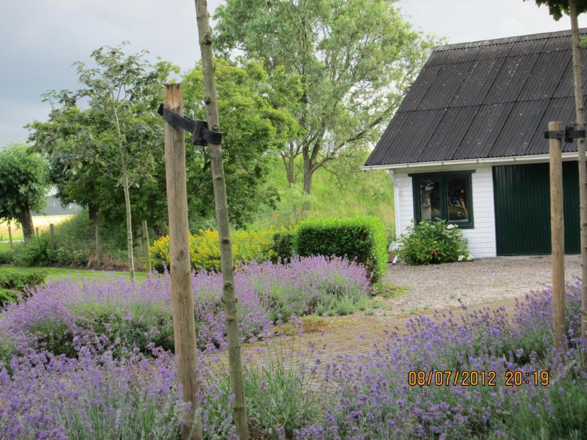 B&B De Tol Hulst Exteriér fotografie