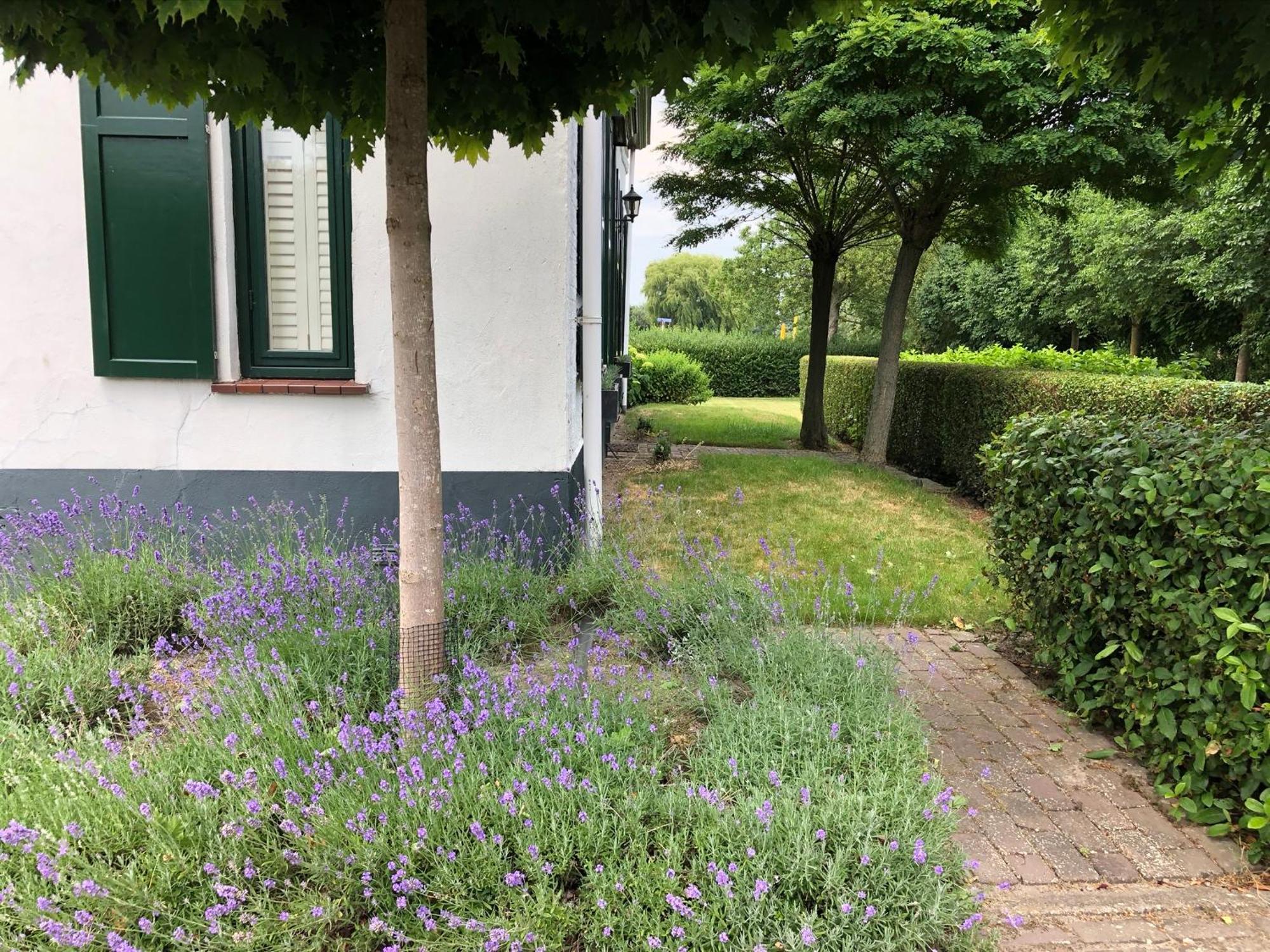 B&B De Tol Hulst Exteriér fotografie