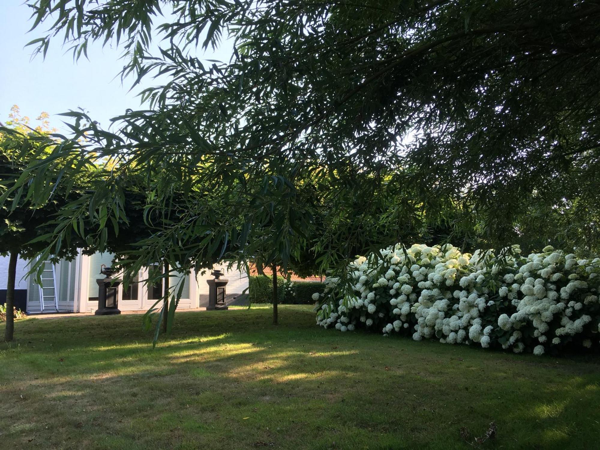 B&B De Tol Hulst Exteriér fotografie