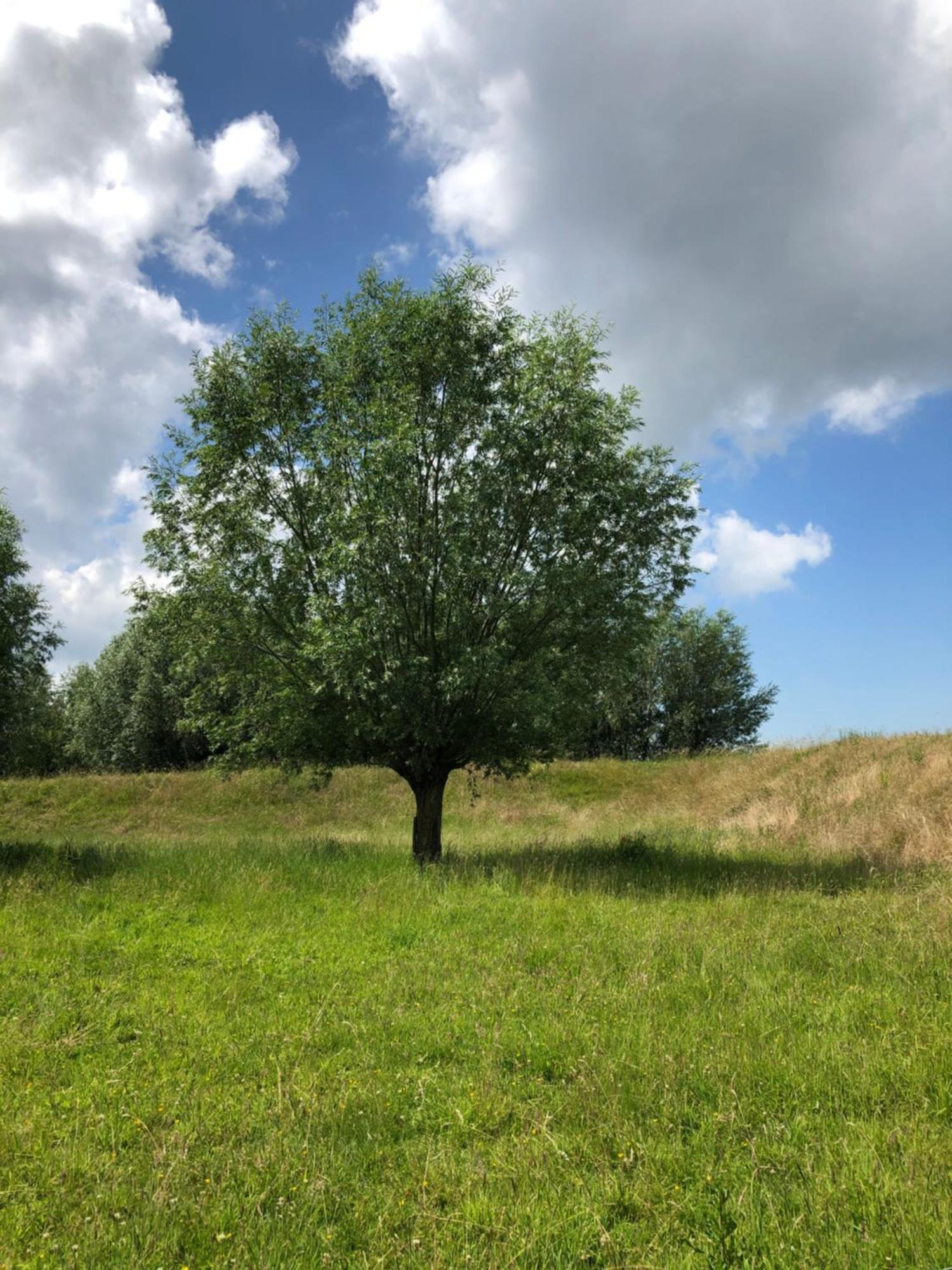 B&B De Tol Hulst Exteriér fotografie